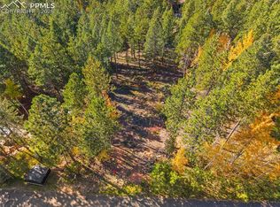 1320 Forest Edge Rd, Woodland Park, CO 80863