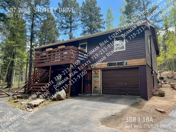 507 Will Stutley Dr, Divide, CO 80814