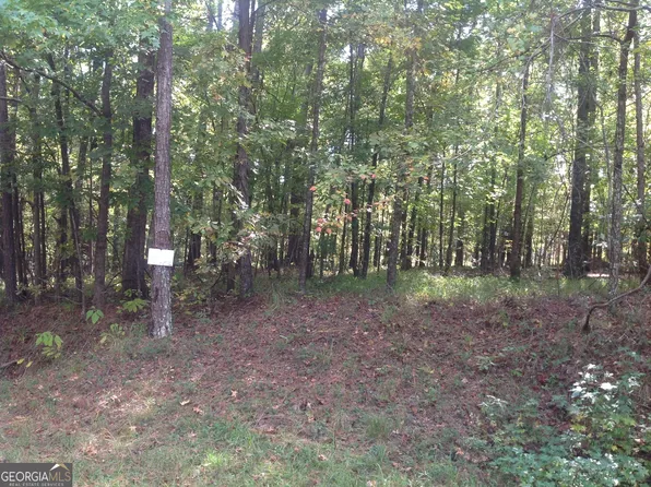 0 Pineview Rd, Gray, GA 31032