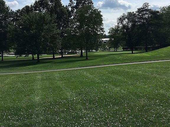 View - living room window 