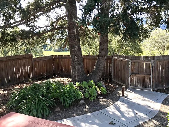 Pathway to Lupin from Front Door