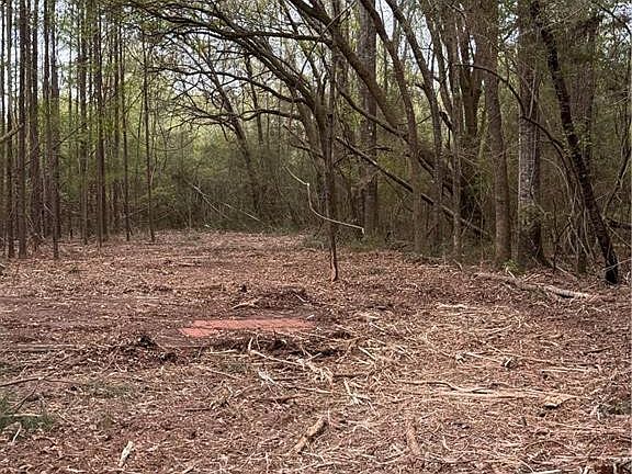 5th image of Seven Mile Rd