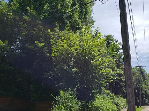 3rd image of 201 Winona St E