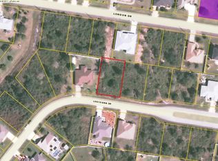 33 Louisiana Dr, Palm Coast, FL 32137
