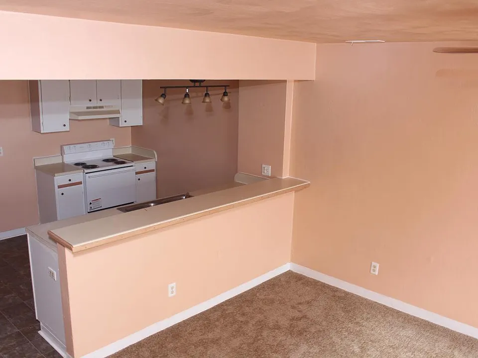Living Room and Bar Top