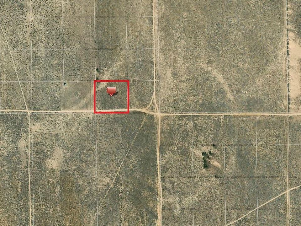2nd image of Kingbird Ave
