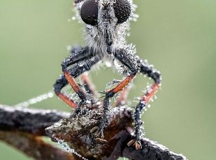 819 19th Ave SE, Decatur, AL 35601