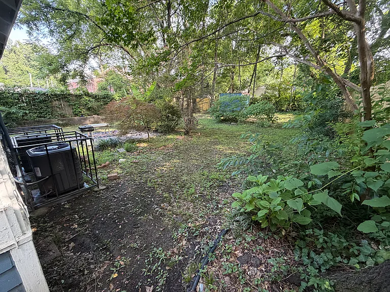 Large, Green Backyard