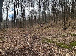 Kims Way #5, Hobart, NY 13788