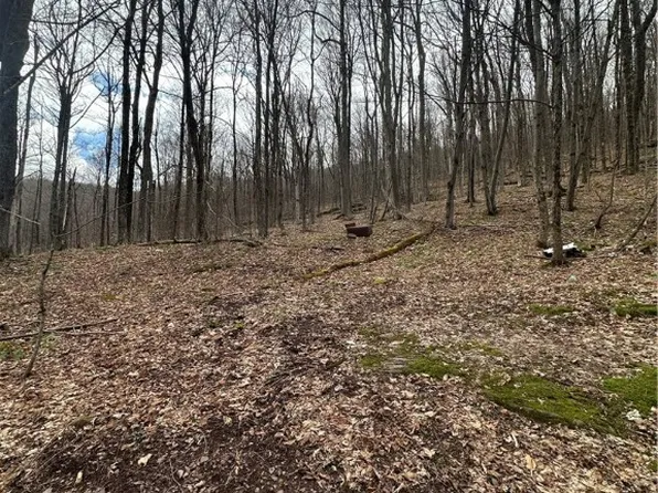 Kims Way #5, Hobart, NY 13788