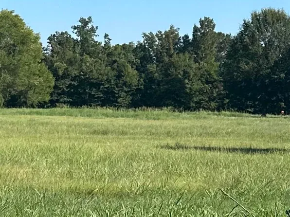 LOT 89 Waterloo Dr, Ventress, LA 70783