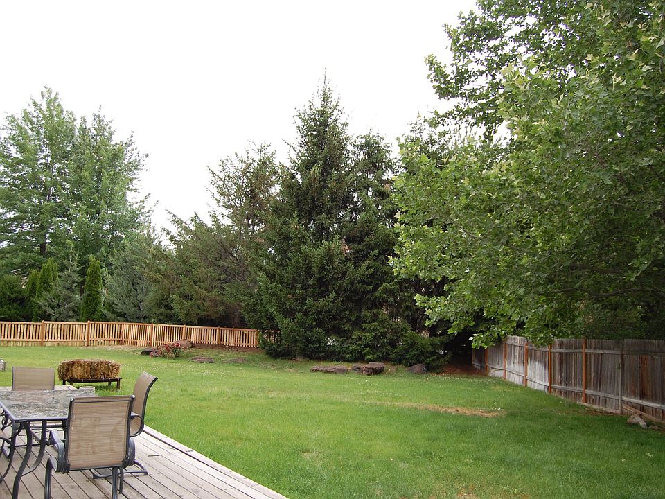 back yard