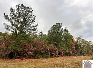 0 Dunbar Rd, New Concord, KY 42076