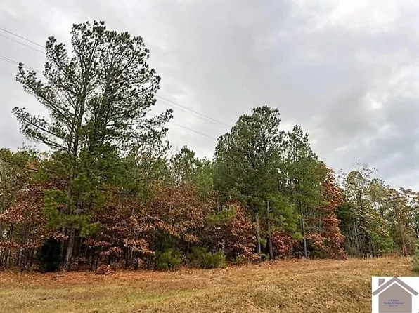 0 Dunbar Rd, New Concord, KY 42076