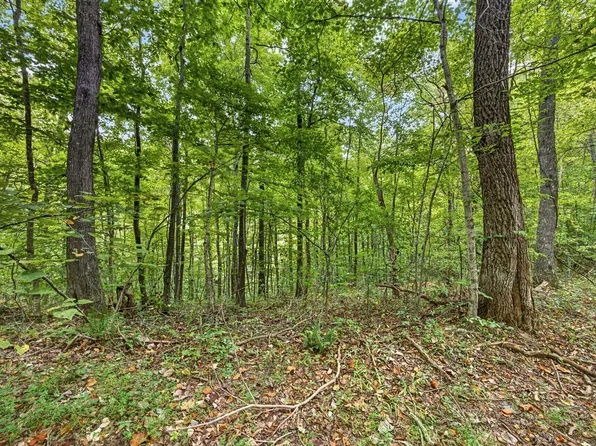 25 Timber Ridge Ln #Phase Ii, Celina, TN 38551