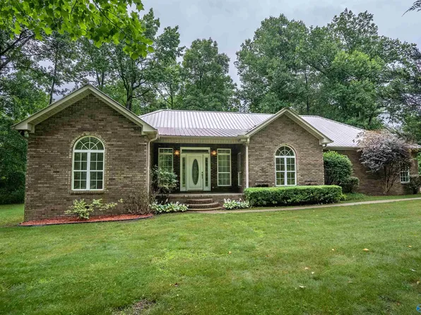 1188 Hammonds Rd, Fyffe, AL 35971