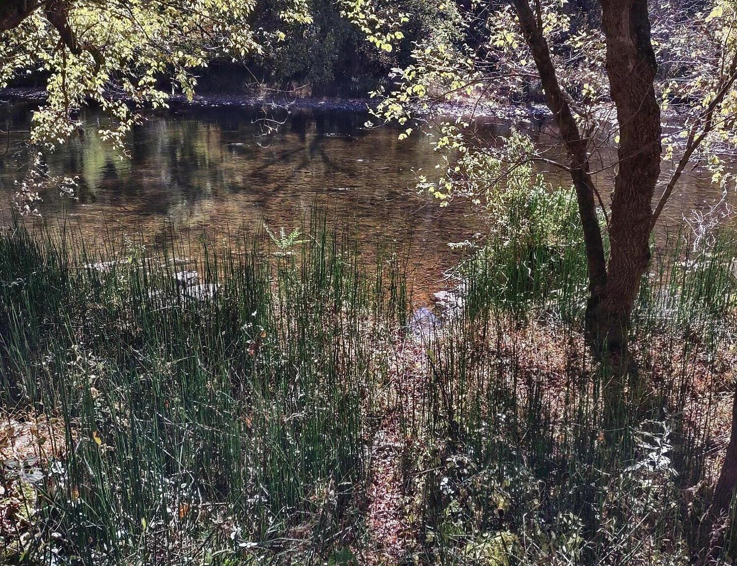 LOT 9 N Fork River Rd, Abingdon, VA 24210 MLS 9958591 Zillow