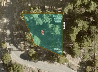 12780 N Loma Linda Extension Rd #19, Mount Lemmon, AZ 85619