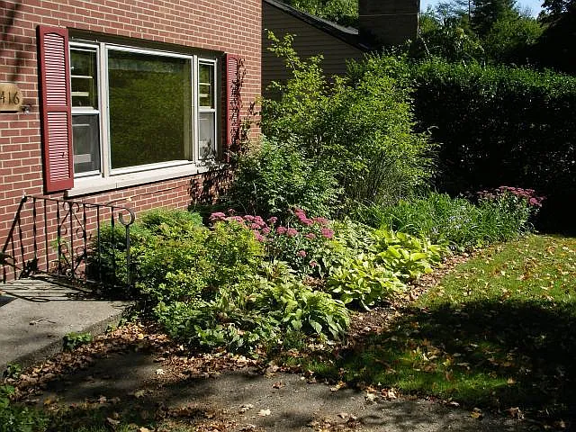 2 bed, 1000 sqft, $1,800 — Photo 3
