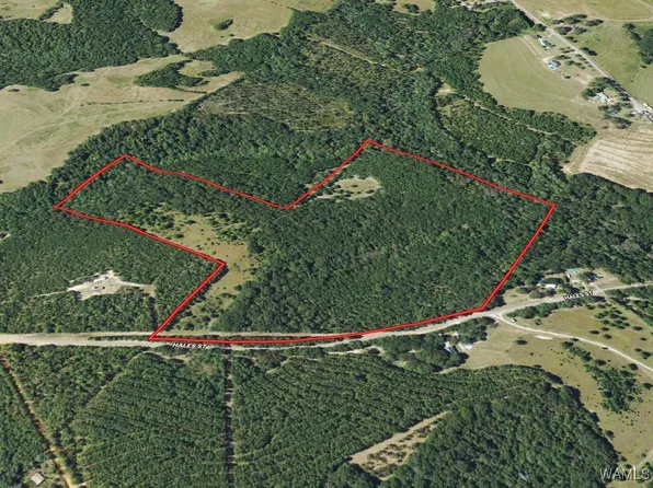 0 County Road 65, Headland, AL 36345
