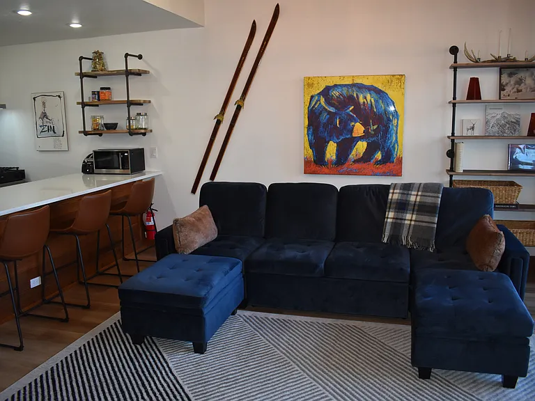 Large queen sleeper sofa