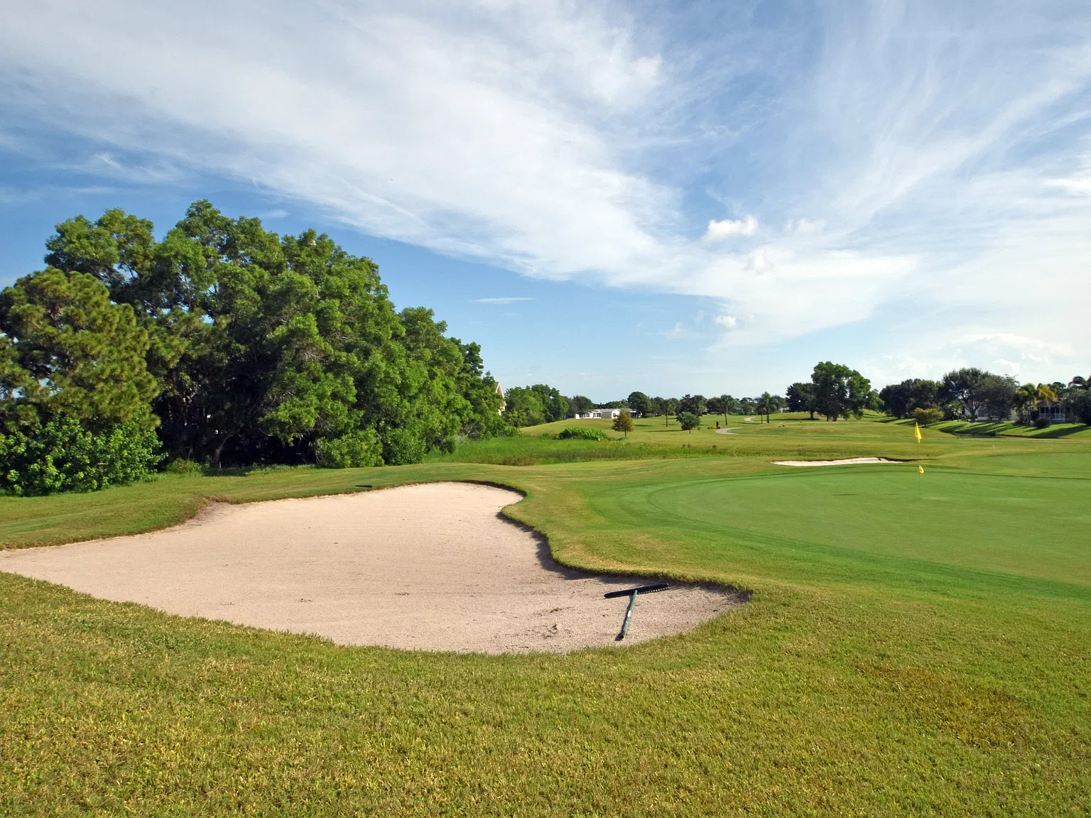 Savanna Club — Photo 2