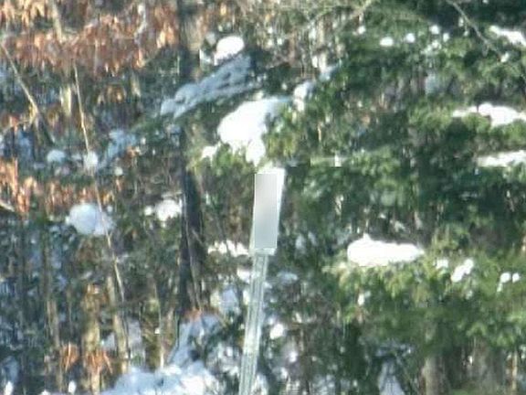 5th image of 206 W Forest Lake Rd