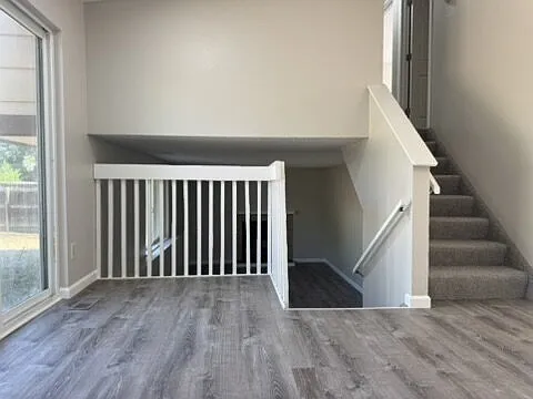 600 Blossom Field Rd — Photo 8