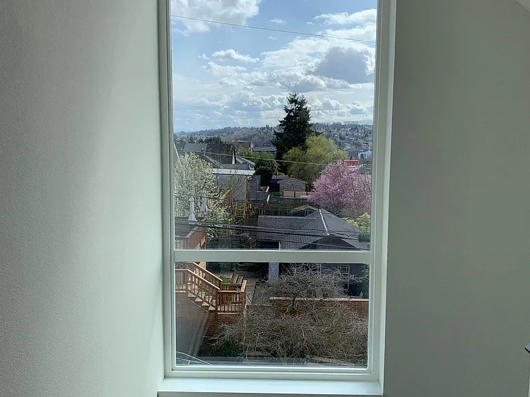 View of Rainier