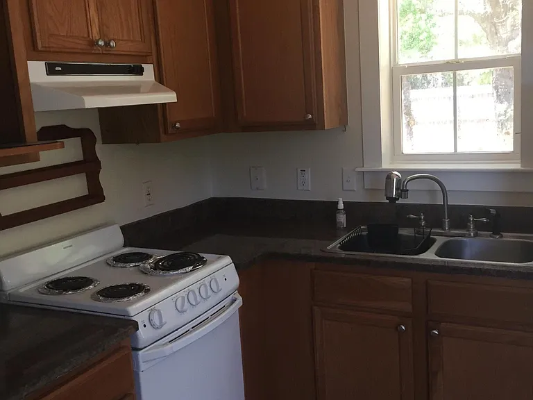 161 Caswell Branch Rd #1 — Photo 3