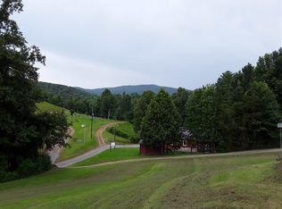 1606 Blue Mill Rd, Del Rio, TN 37727