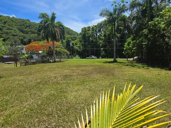 Carr Pr111 Camino Tono Colon, Aguadilla, PR 00603