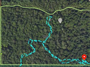 Nessen Rd, Thompsonville, MI 49683