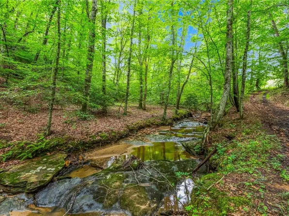 1451 John Ed Mabe Rd, Danbury, NC 27016
