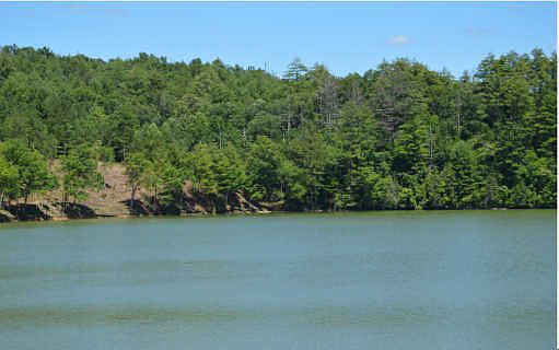 1st image of Lot 7 Northshore