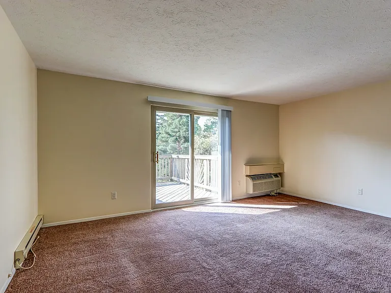 Royalwood Apartments — Photo 7