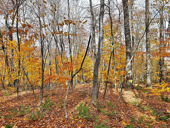 3rd image of 430 Lower Rebecca Lane Lot 1