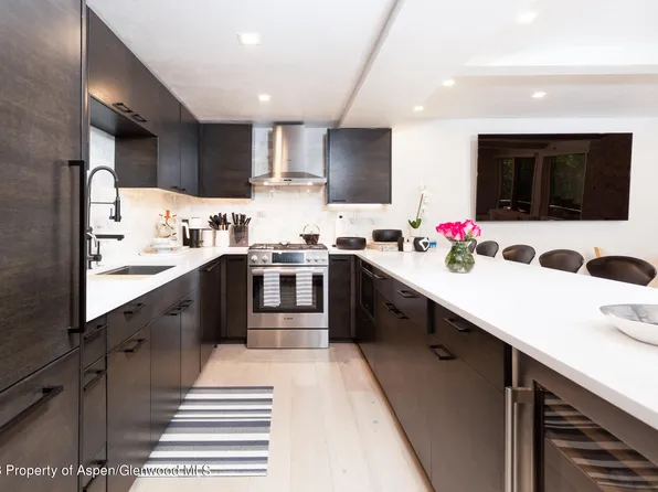 700 S Ute Ave #502, Aspen, CO 81611