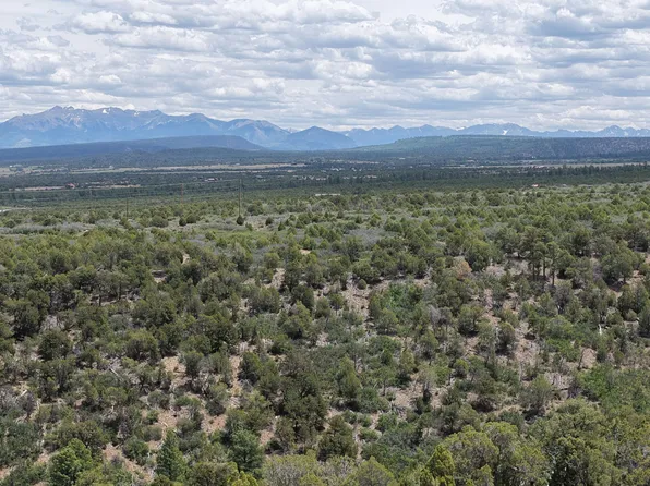 Uassigned Juniper Dr #422Y, Norwood, CO 81423