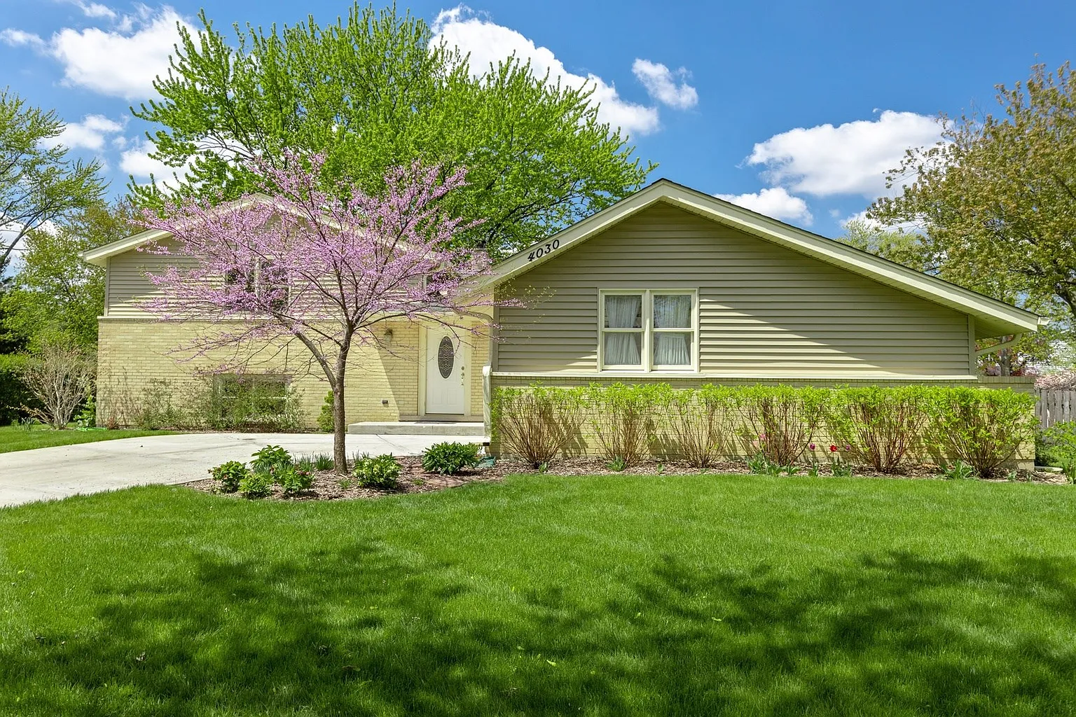4030 Carousel Dr photo 1