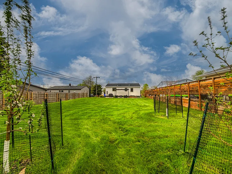 Backyard area