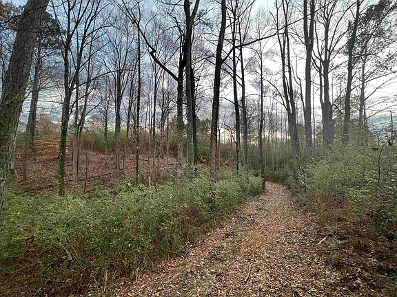 5th image of 3011 County Road 998