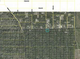 XXX DIVISION STREET LOT 249, HASTINGS, FL 32145