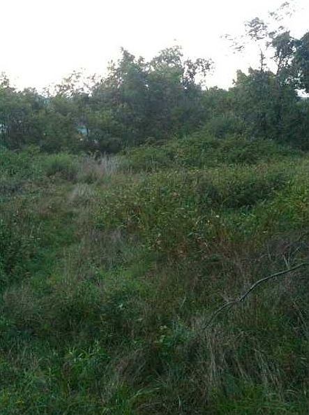 1st image of Lot Lot 9 Salem Twp #9