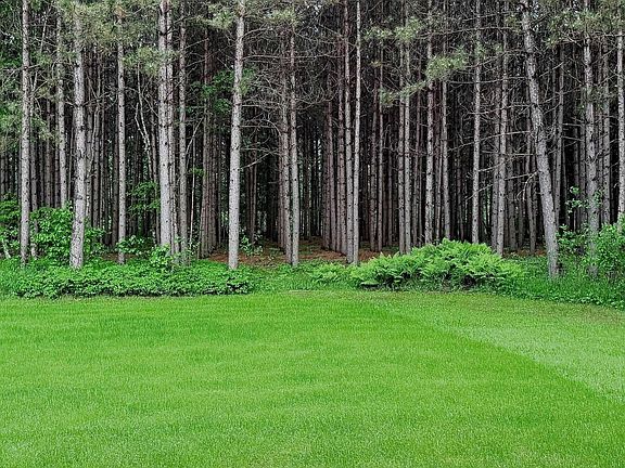 5th image of 41 E Stark Rd