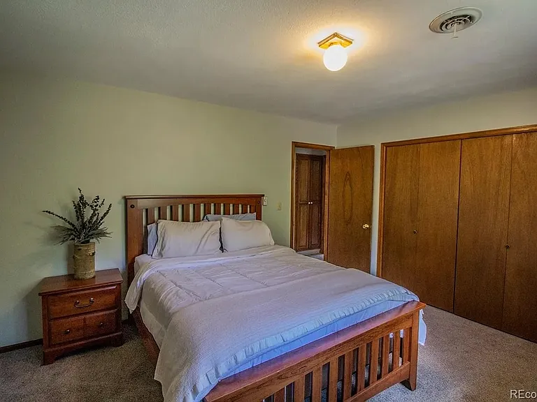 23961 Mount Massive Dr — Photo 12