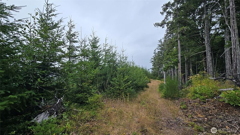 3rd image of 9207 Tract B Old Olympic Highway NW