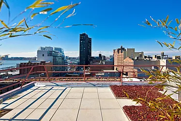 Rented by Hakimian Management