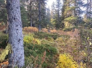 35605 Erin Way, Anchor Point, AK 99556