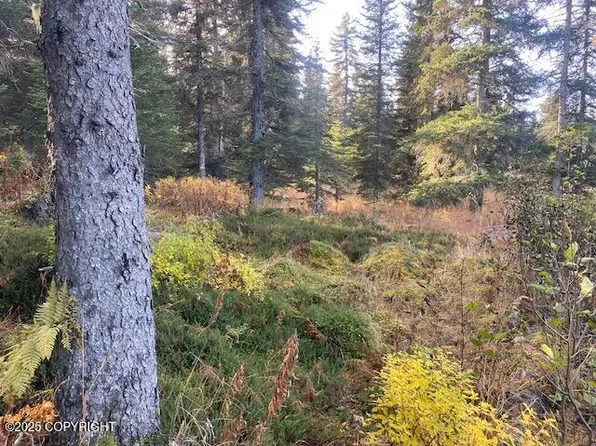 35605 Erin Way, Anchor Point, AK 99556